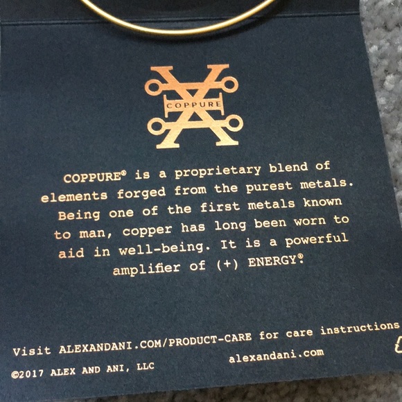 Alex and Ani Pineapple Bracelet - Picture 7 of 8